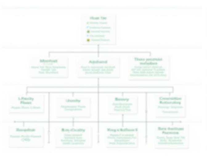 A detailed competitive analysis framework visualized as a multi-layered chart, showing market segmentation and competitor positions.